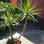 Apartamento La Casa Del Girasole *