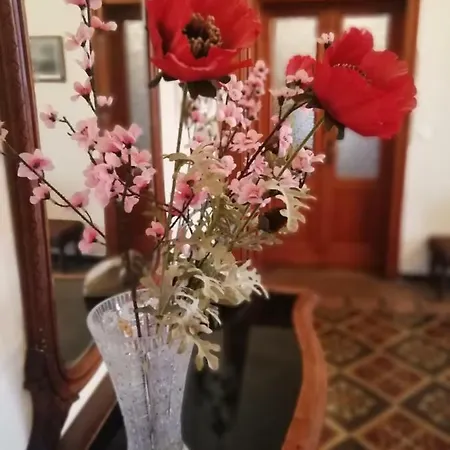 La Casa Del Girasole Sestri Levante