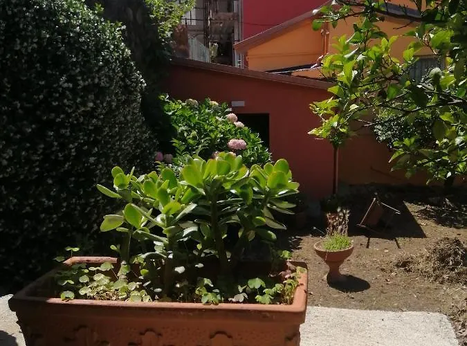 公寓 La Casa Del Girasole *